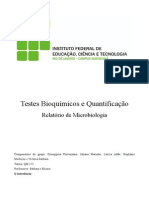 Relatório de Micro - Teste Bioquímico