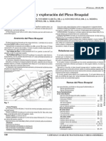 dermatomas y miotomas.pdf