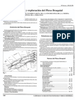 Dermatomas y Miotomas PDF