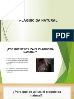 Plaguicida Natural - Charpentier y Grupo