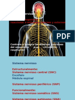 Sist Nervioso 2015