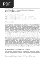 Jacobian-Free Newton-Krylov Methods Issues and Solutions