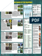 162 - Philippine Snake Poster04-15-04 PDF