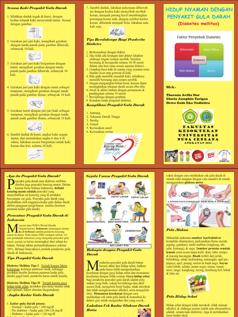 Leaflet Diabetes Mellitus