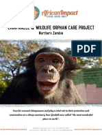 Chimpanzee Wildlife Orphan Sanctuary Project Brochure