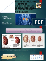 Insu-renal Caso Clinico