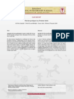 PDF EJVS 888 PDF