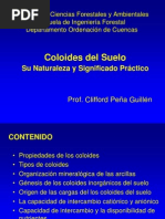coloides del suelo
