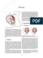 Placenta