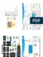 Mapas mentais direito