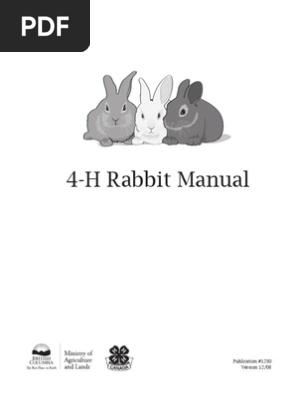 4h Rabbit RG