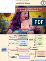 Mapa Conceptual, Cambios en La Piel y Tejido Subcutáneo - Obstetricia PDF