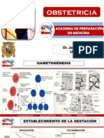 Obstetricia I PDF