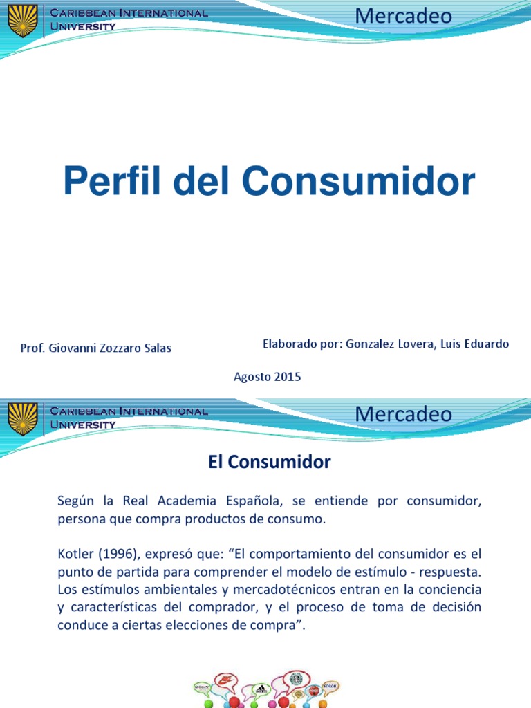 Perfil Del Consumidor PDF Los consumidores