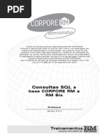 RM Bis.pdf