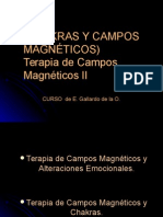 campos magneticos chakras