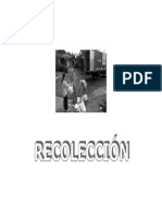 Recoleccion MR