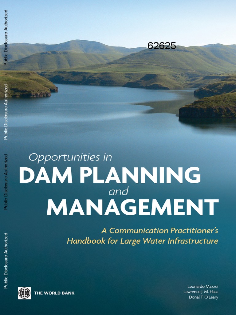 DAM Planning and Management Governance Strategic Management
