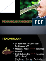 Penanganan Gigitan Ular