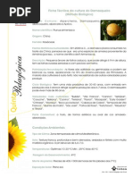 Ficha Tecnica Damasqueiro