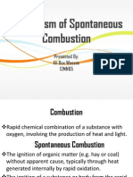 Mechanism of Spontaneous Combustion