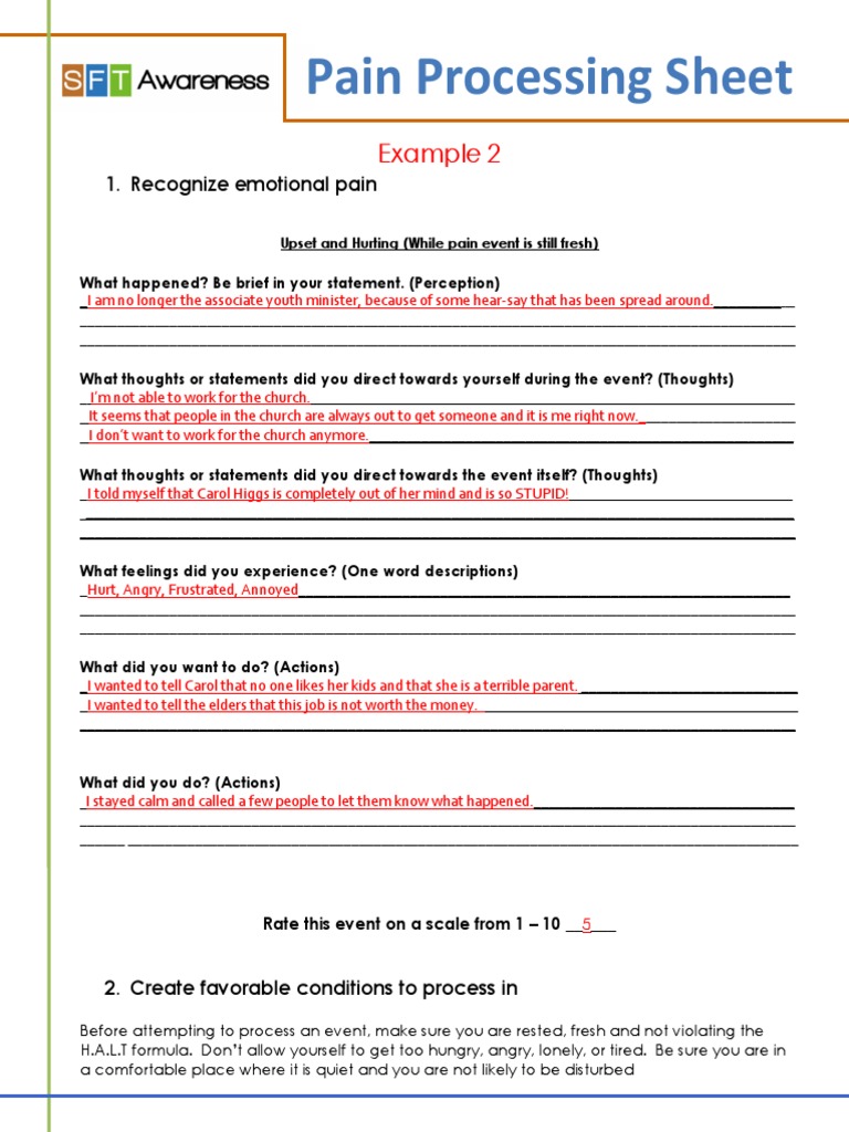Pain Processing Sheet Mock 2 | PDF | Thought | Pain