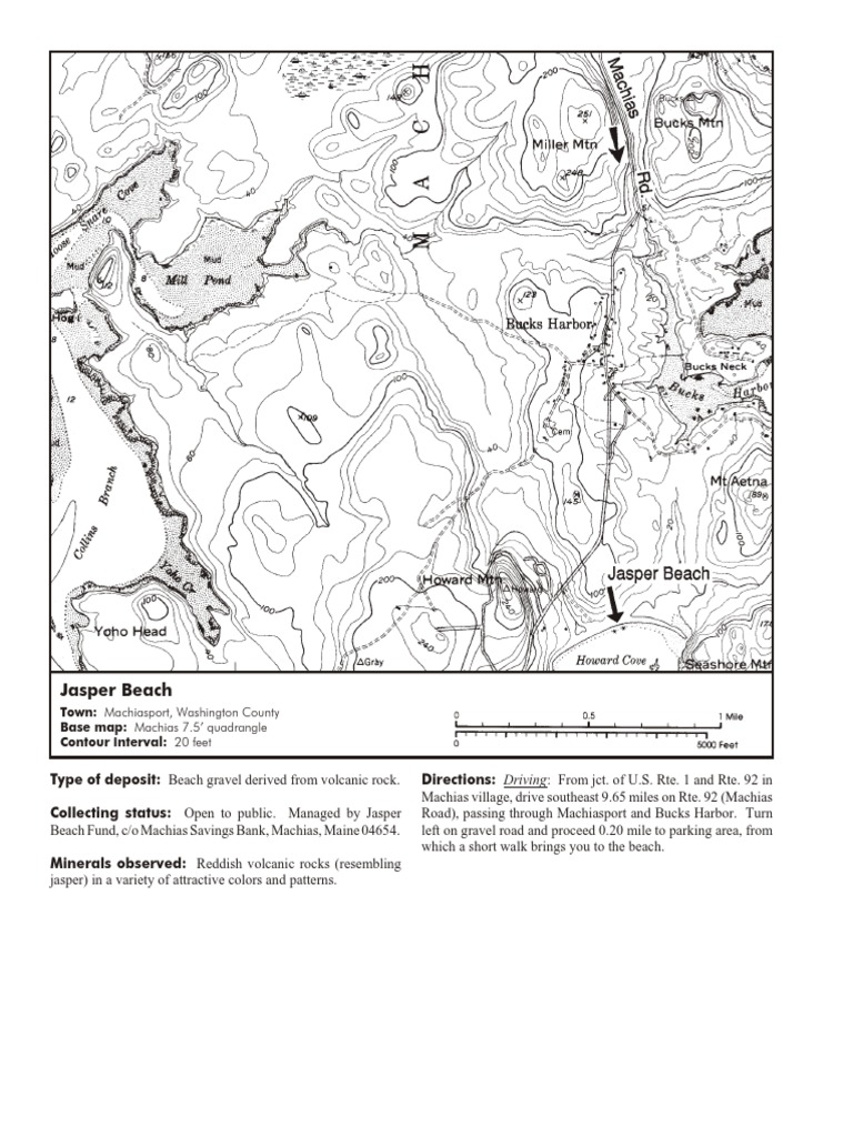 Jasper | PDF