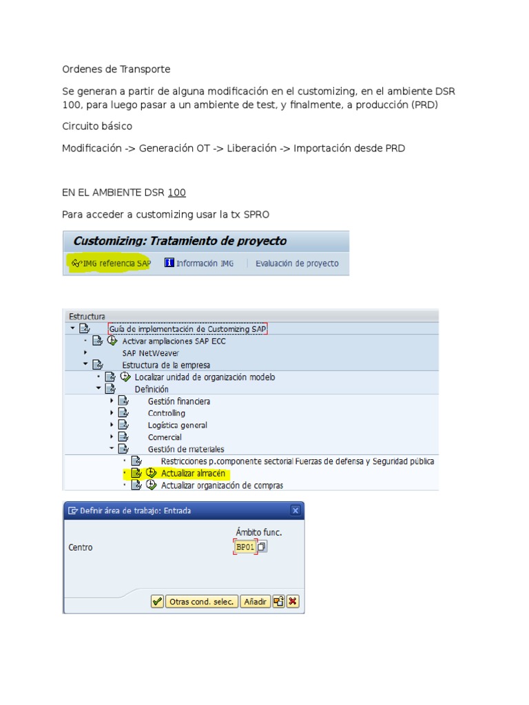 Proceso de Órdenes de Transporte en SAP | PDF | Informática | Tecnología