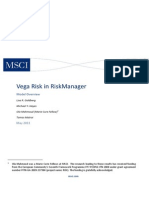 Vega Risk PDF