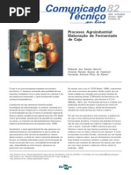 fermentado caju.pdf