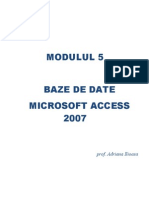 Curs Access 2007