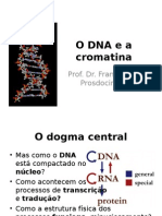 Odnaea Cromatina: Prof. Dr. Francisco Prosdocimi