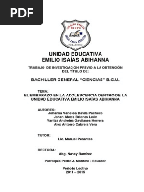 El Embarazo En La Adolescencia Dentro De La Unidad Educativa