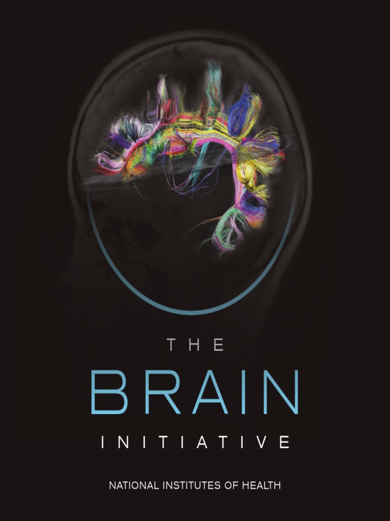 BRAIN | PDF | Neuroscience | Visual Perception
