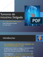 Tumores Del Intestino Delgado