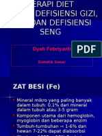 Terapi Diet Anemia Defisiensi Gizi, Gaki Dan Defisiensi ZN