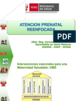 1-Atencion Prenatal Reenfocada (1)
