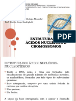 1º Aula - Estrutura Dos Ácidos Nucléicos e Cromossomos