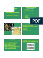 Interacciones Entre Mo PDF