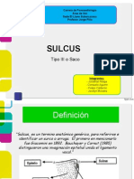 Sulcus