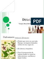 Dulcamara