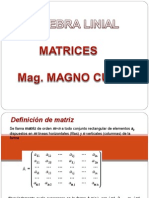 Matrices y Determinantes