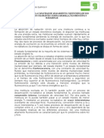 practica-5_Fluoresc_24062015 (1)