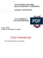 Ciclo Menstrual