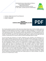 Resumen 20 Mitos o Realidades Sobre Las Abejas Meliponas