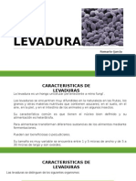 Levaduras Clasificacion 