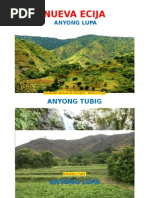 Anyong Lupa Nueva Ecija