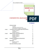 Modul 2 Man Strat 2009