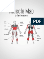 Muscle Map Poster