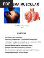Sistema Muscular 2014